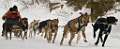 2009-03-14, Competition de traineaux a chiens au Bec-scie (132933)